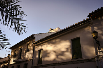 Shadow Of A Tree On The Wall Of A House In The Village