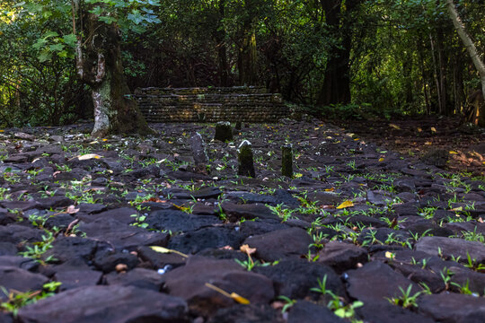 Marae sur l'&icirc;le de Mo'orea en polyn&eacute;sie