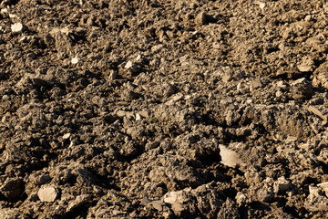 Processed plowed fertile soil in the field