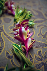 Collier de fleurs en Polynésie