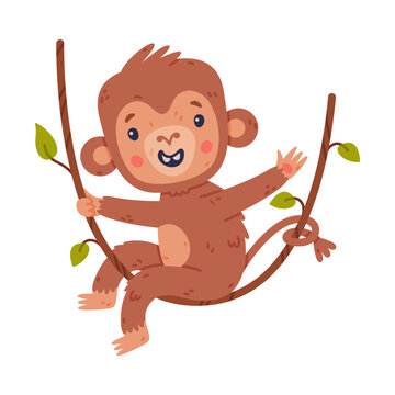 Funny cute baby monkey swinging on vine. African tropical animal cartoon character vector illustration