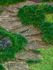 Obraz premium Stone Path in a Garden.