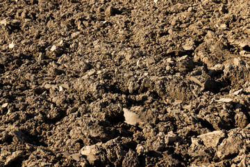 Processed plowed fertile soil in the field