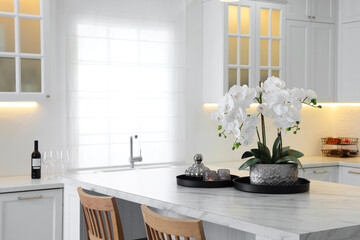 Fototapeta na wymiar Beautiful orchid flowers on white marble table in kitchen. Luxury interior