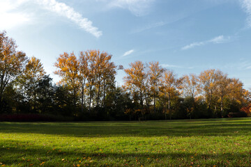 Plakat Picturesque view of park with beautiful trees and green grass on sunny day. Autumn season