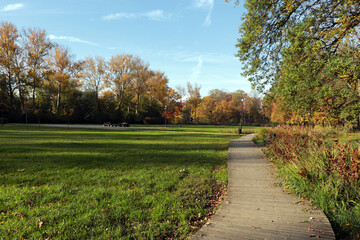 Picturesque view of park with beautiful trees and pathway on sunny day. Autumn season
