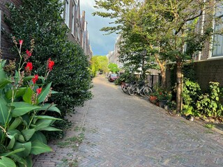 City street with beautiful buildings, plants and bicycles