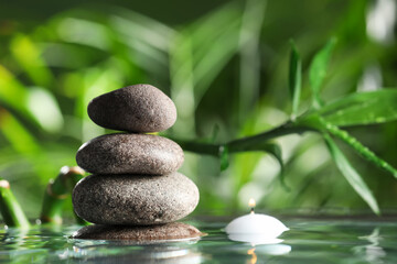 Fototapeta na wymiar Stacked stones and burning candle with bamboo stem on water surface against blurred green leaves, closeup