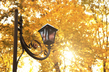 Outdoor vintage streetlight and yellowed trees in park on sunny day