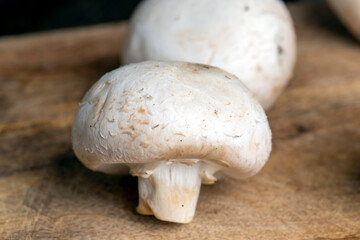 ripe whole mushrooms for cooking