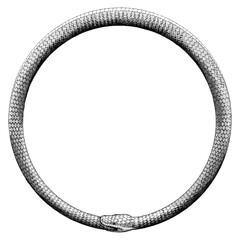Illustration of a Ouroboros in a vintage etched, woodcut style. 