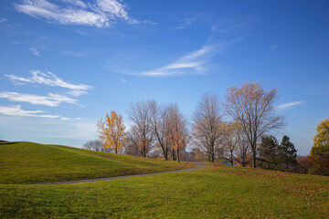 Fototapeta na wymiar Foliage: End of the Autumn, Ottawa, Canada
