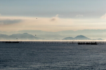 冬の早朝の琵琶湖　珍しい大規模な気嵐と飛ぶ鳥　滋賀県大津市和邇浜より撮影