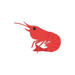 甘海老　シンプル