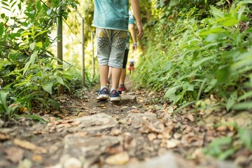 walking in the woods