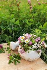 Ceramic mortar with pestle, different wildflowers and herbs on wooden board in meadow © New Africa
