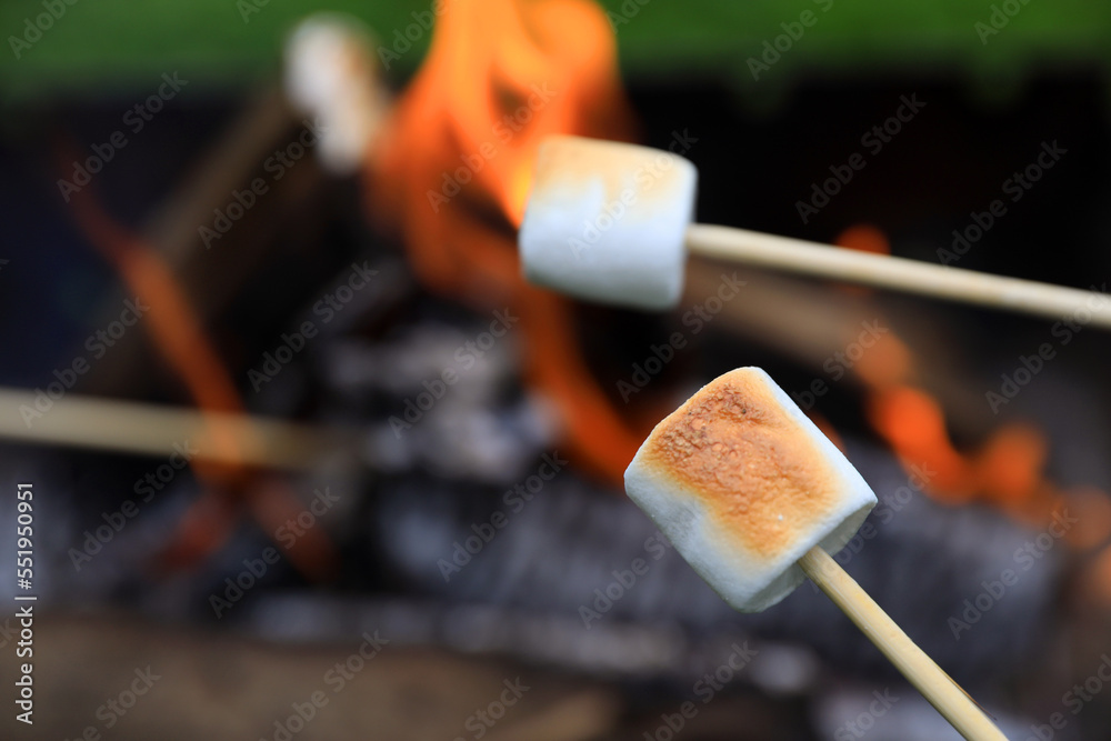 Wall mural Delicious puffy marshmallows roasting over bonfire, closeup. Space for text