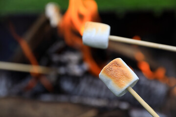 Delicious puffy marshmallows roasting over bonfire, closeup. Space for text