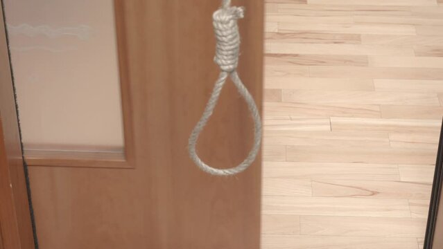 Lovely dachshund puppy looks with curiosity at noose with rope hangs from top to bottom in room, then runs away, view though the loop. Problem of suicide. Punishment of criminals by hanging.
