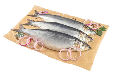 Parchment paper with salted herrings, onion rings, peppercorns and parsley isolated on white