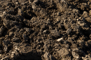 Processed plowed fertile soil in the field