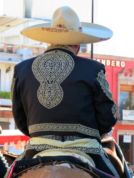 a person on a horse in traditional charro costume, mexico