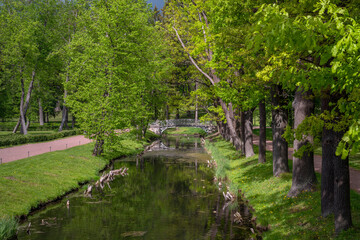 View of the cast-iron openwork bridge across the water maze channel near the White Lake in Gatchina Park on a sunny autumn morning, Gatchina, St. Petersburg, Russia