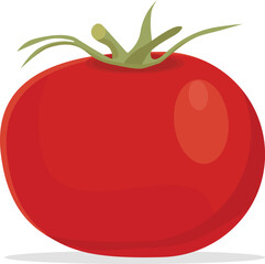 Delicious tomato illustration