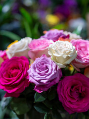 Rosas Pastel