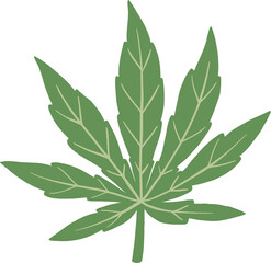 Obraz na płótnie Canvas cannabis leaf freehand drawing.