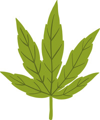 cannabis leaf freehand drawing.