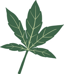 cannabis leaf freehand drawing.