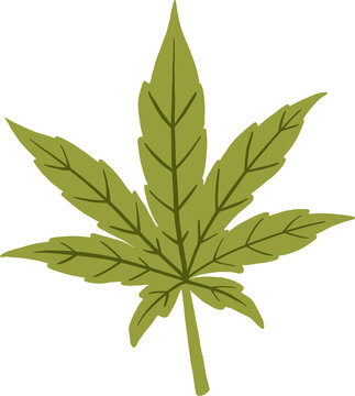 cannabis leaf freehand drawing.