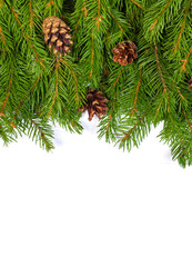 Christmas background. Eve framework