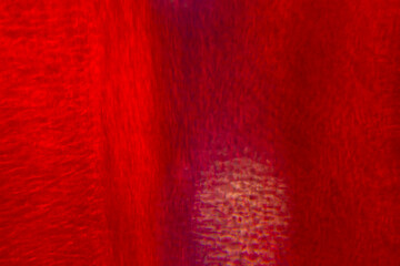 美しいオレンジ色で背景を表現しました。