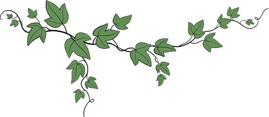 Simplicity ivy freehand drawing