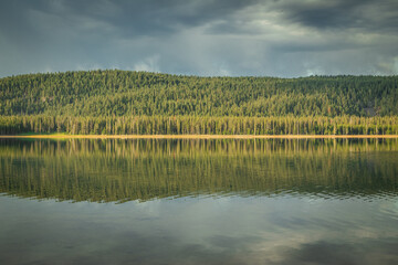 sunrise light reflection of trees and stormy skies on a tranquil and remote mountain lake