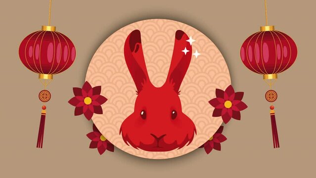 rabbit chinese zodiac animal animation