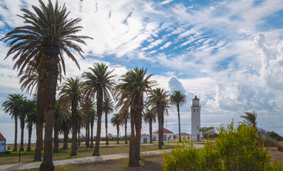 Palm trees and Point Vincente Lighthouse, landmark 1920s coastal tower and beacon near Rancho Palos...