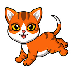 Cute orange tabby cat cartoon