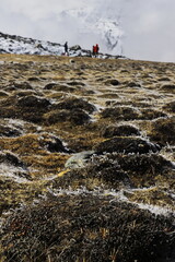 beautiful hiking trail, through the scenic alpine valley and surrounded by high himalayan snowcapped peak, zero point in north sikkim, india