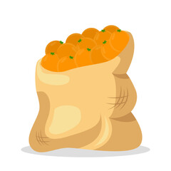 Bag full of tangerines or oranges vector illustration. Cartoon drawings of sack with citruses or mandarins isolated on white background. Organic food, fruit, nutrition, diet concept