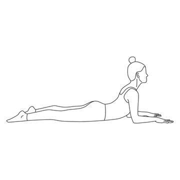Line art of woman doing yoga in sphinx pose vector.
