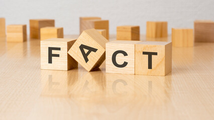 four wooden blocks with text FACT on table. copy space. white background.