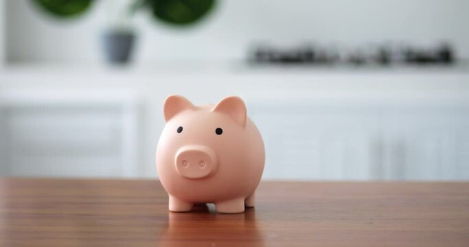 piggy bank business standing. A hand is putting a coin in a lifestyle piggy bank on a interior background. Saving money is an investment for the future.