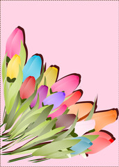 Hand drawn colorful tulips on pink background