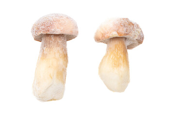 Frozen boletus mushroom isolated on white background.