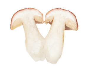 Fresh boletus mushroom isolated on white background