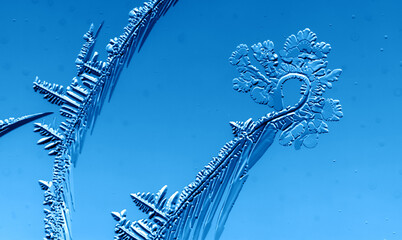 Drawings of ice on blue glass.