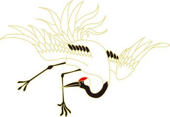 鶴　タンチョウヅル